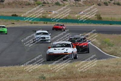 media/May-04-2024-Lucky Dog Racing (Sat) [[d39539b3f3]]/Race Pics/1015am (Turn 2)/
